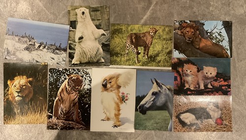 Vintage animal collection - vintage,