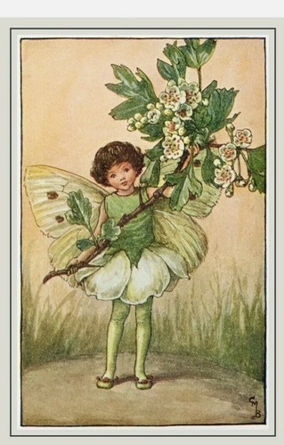 Set flower fairy art - flower,